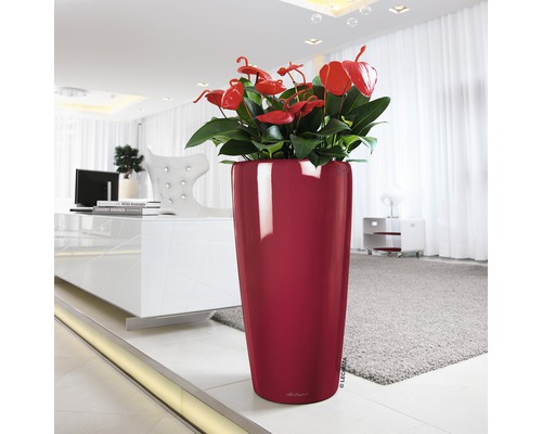 Hoge plantenbak met anthuriums in de woonkamer.
