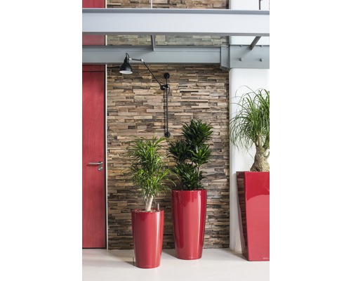 Interieur met planten in plantenbakken voor een muur met steeneffect