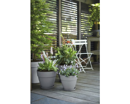 Tuin met planten in potten en zitgroep