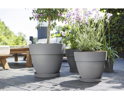 Bloempotten met planten op een terras