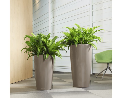 Twee hoge plantenbakken met varens in een heldere ruimte.