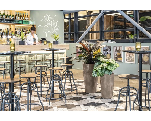 Interieur van een bar met krukken, tafels en planten
