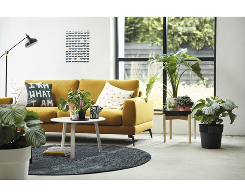 Woonkamer met gele bank, salontafel, kamerplanten en decoratie