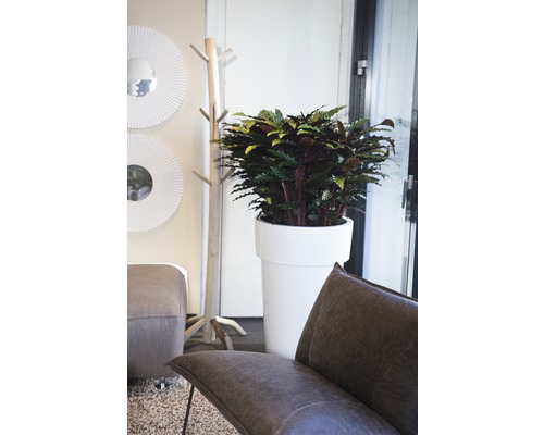 Interieurscène met kamerplant in plantenbak, kapstok, spiegels en zitmeubelen