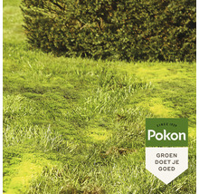 POKON Mos Weg! 100 m2