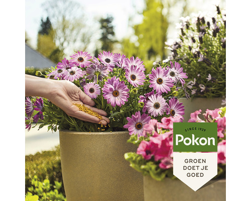 Scene met bloemen in plantenbakken en persoon die meststoffen strooit, Pokon Logo