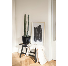 Decoratief interieur met cactus in zwarte pot op een kruk, aangevuld met een ingelijst abstract kunstwerk en een jas.