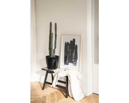 Decoratief interieur met cactus in zwarte pot op een kruk, aangevuld met een ingelijst abstract kunstwerk en een jas.