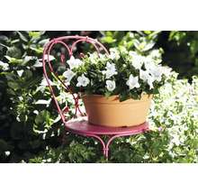 ELHO Green basics Schaal terra Ø 27 cm H 11 cm