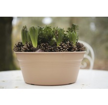 ELHO Green basics Schaal terra Ø 27 cm H 11 cm
