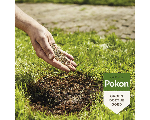 Een hand zaait graszaad op een gazon. Pokon Logo.