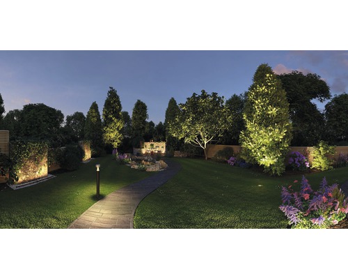 Verlichte tuin met pad, bomen en bloemen in de avond