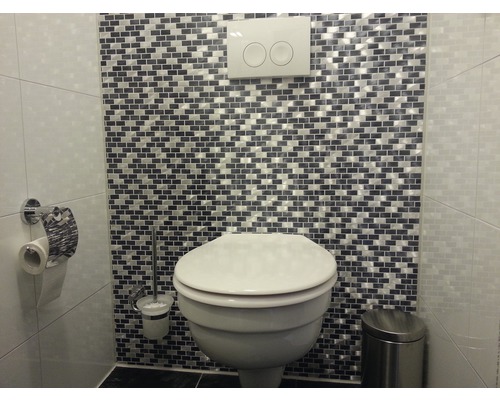 Badkamer met toilet, toiletpapierhouder, toiletborstel en prullenbak voor een wand met mozaïektegels