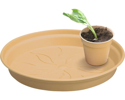 Kunststof bloempot onderschotel met potplant