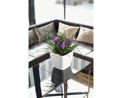 Decoratief arrangement met paarse irissen in een witte plantenbak op een bijzettafel