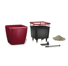 Lechuza Classico 21 plantenbak complete set met irrigatiesysteem en accessoires