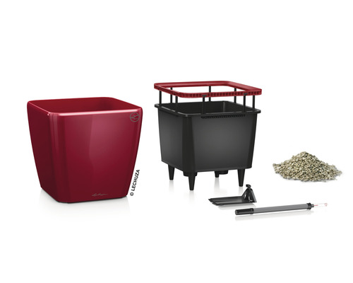 Lechuza Classico 21 plantenbak complete set met irrigatiesysteem en accessoires
