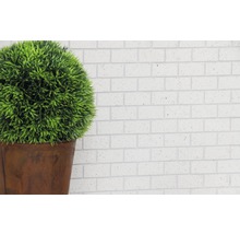 Decoratieve groene bol in een pot voor een muur van bakstenen