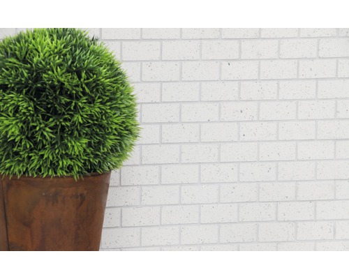 Decoratieve groene bol in een pot voor een muur van bakstenen