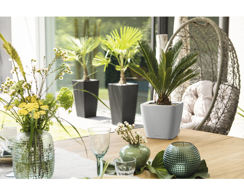 Tafeldecoratie met planten in plantenbakken en bloemenvazen in een lichte ruimte.