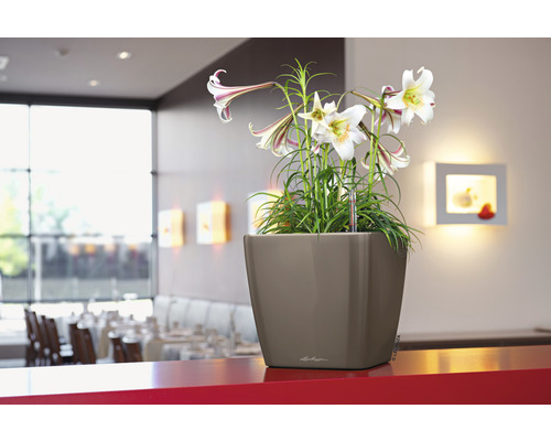 Vierkante bloempot met lelies op een rode tafel