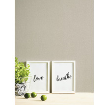 Decoratieve wanddecoratie met twee ingelijste posters, een plant en limoenen.