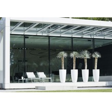 Modern terras met planten in plantenbakken, tuinmeubelen en glazen gevel