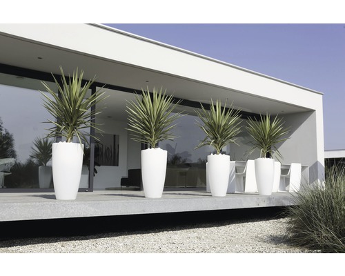 Buitenshot met planten in plantenbakken voor een modern gebouw