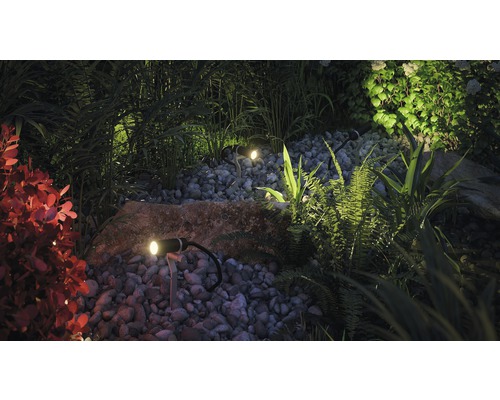 Verlichte tuin met stenen en diverse planten.