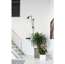 Interieurscène met trap, wandlamp, kapstok en kamerplanten in plantenbakken