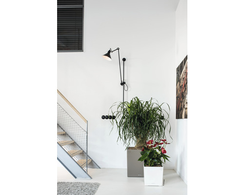 Interieurscène met trap, wandlamp, kapstok en kamerplanten in plantenbakken