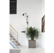Scene van een interieur met trap, plant in pot en wandlamp