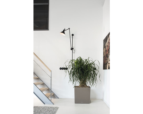Scene van een interieur met trap, plant in pot en wandlamp
