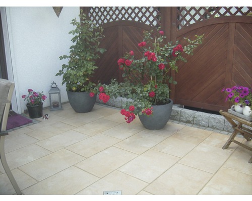 Terras met bestrating, rozen in potten en houten schutting