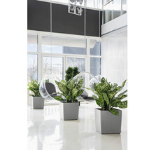 LECHUZA All-in-One Set Plantenbak Cube Kunststof Zilver 50 cm x 50 cm x 50 cm