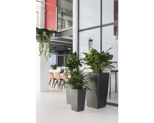 Interieur met planten in grijze plantenbakken, wat zorgt voor een lichte en georganiseerde sfeer.