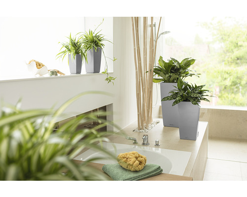Badkamer met planten in plantenbakken