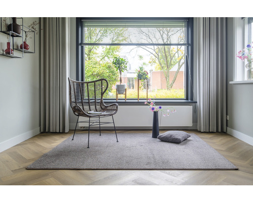 Woonkamer met vloerkleed, rotan stoel en raam