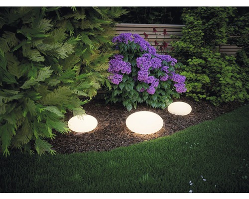 Tuinlandschap met planten en ronde tuinverlichting