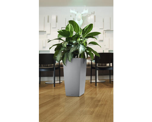 Planten in een grijze, vierkante bloempot binnenshuis.