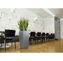 Interieurfoto van een ruimte met eettafel, stoelen en een hoge, grijze plantenbak met groene plant