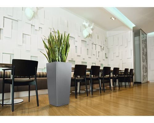 Interieurfoto van een ruimte met eettafel, stoelen en een hoge, grijze plantenbak met groene plant