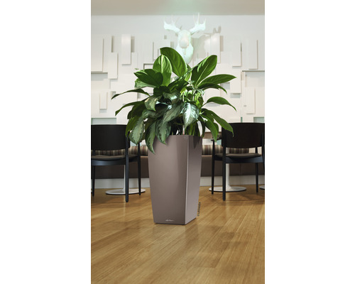 Hoge kunststof plantenbak met plant voor een versierde wand