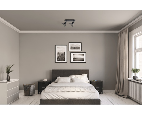 FLAIR Plafondspot Acamar 2-lichts zwart FLAIR Plafondspot Acamar 2-lichts zwart
