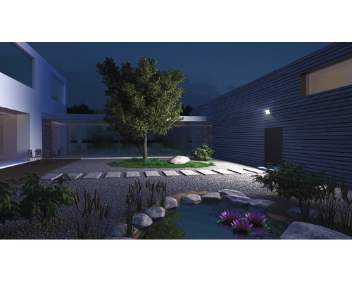 Verlichte tuin met vijver, boom, stenen en moderne architectuur in de nacht