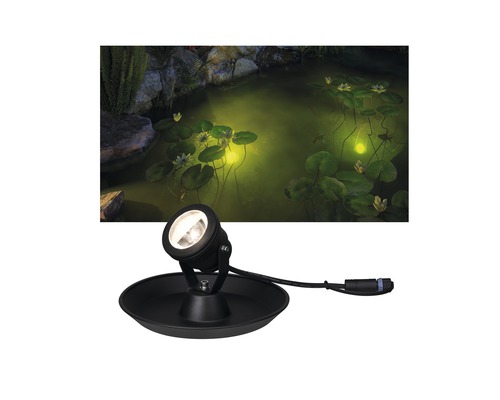 Vijverlamp met vijver op de achtergrond