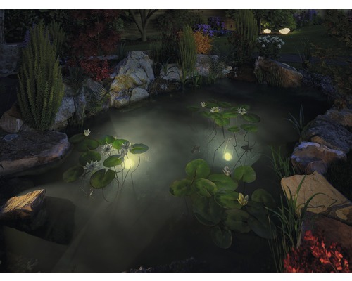 Tuinvijver met waterlelies en vijververlichting