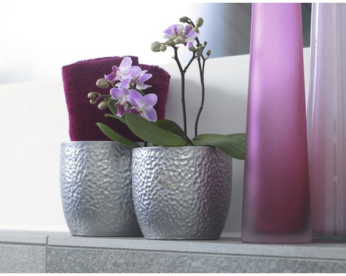 Decoratieve opstelling met orchidee in zilverkleurige pot, handdoek en vazen