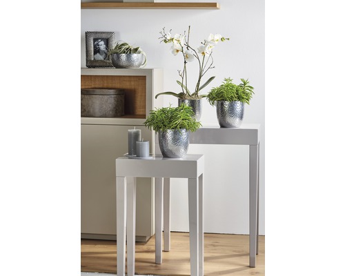 Decoratieve scène met planten in potten, kaarsen en woonaccessoires op tafels