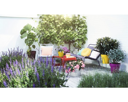 Terras met tuinmeubelen, planten en decoratieve kussens